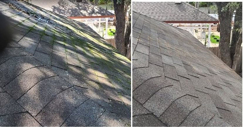 Commitment to Eco-Friendly Practices's image